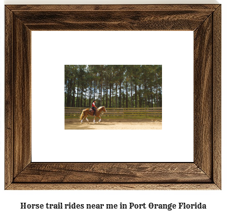 horse trail rides near me in Port Orange, Florida